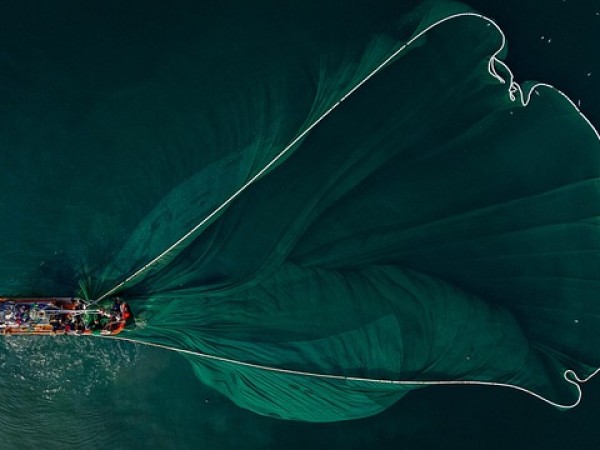 特許評価で見るべきところ：請求項の広さ